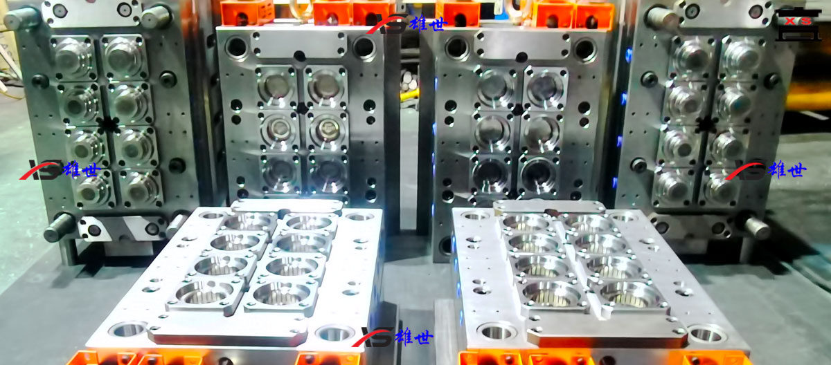 Waxberry Cup Mould Series in China Taizhou manufacturer